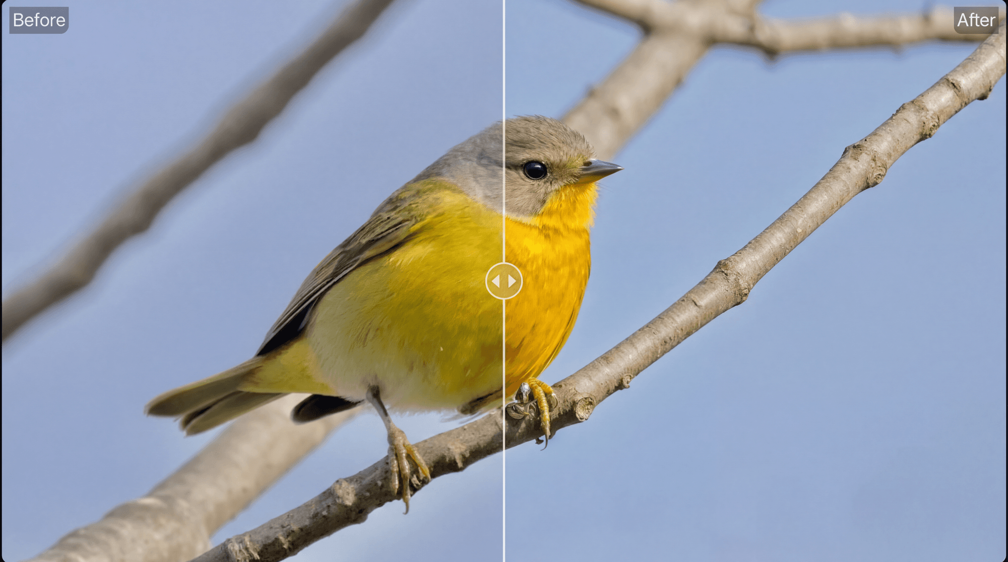 AI Upscaler Image Workflows for Clean Visual Output