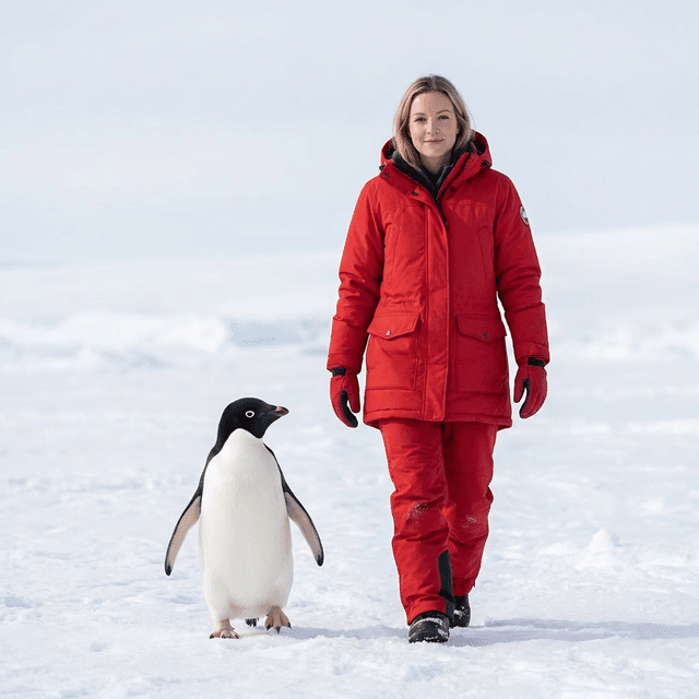 Arctic Walk With Penguin Video